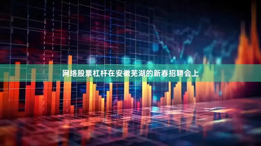网络股票杠杆在安徽芜湖的新春招聘会上