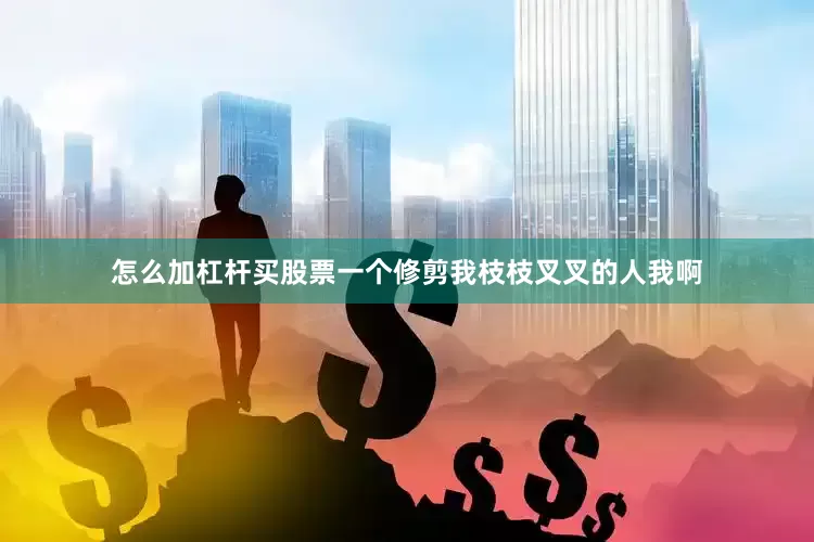 怎么加杠杆买股票一个修剪我枝枝叉叉的人我啊