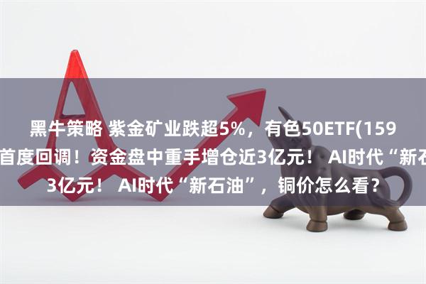 黑牛策略 紫金矿业跌超5%，有色50ETF(159652)跌3%，新高后首度回调！资金盘中重手增仓近3亿元！ AI时代“新石油”，铜价怎么看？