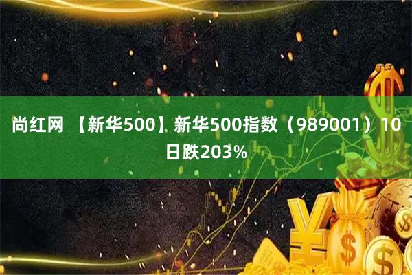 尚红网 【新华500】新华500指数（989001）10日跌203%